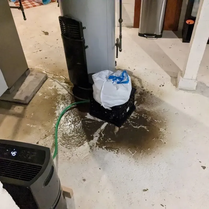Sewage Backup Cleanup Service in Wewahitchka, FL